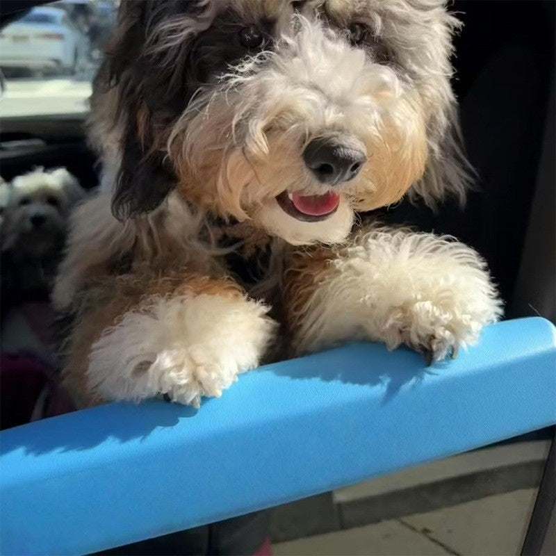 Window Pet Support
