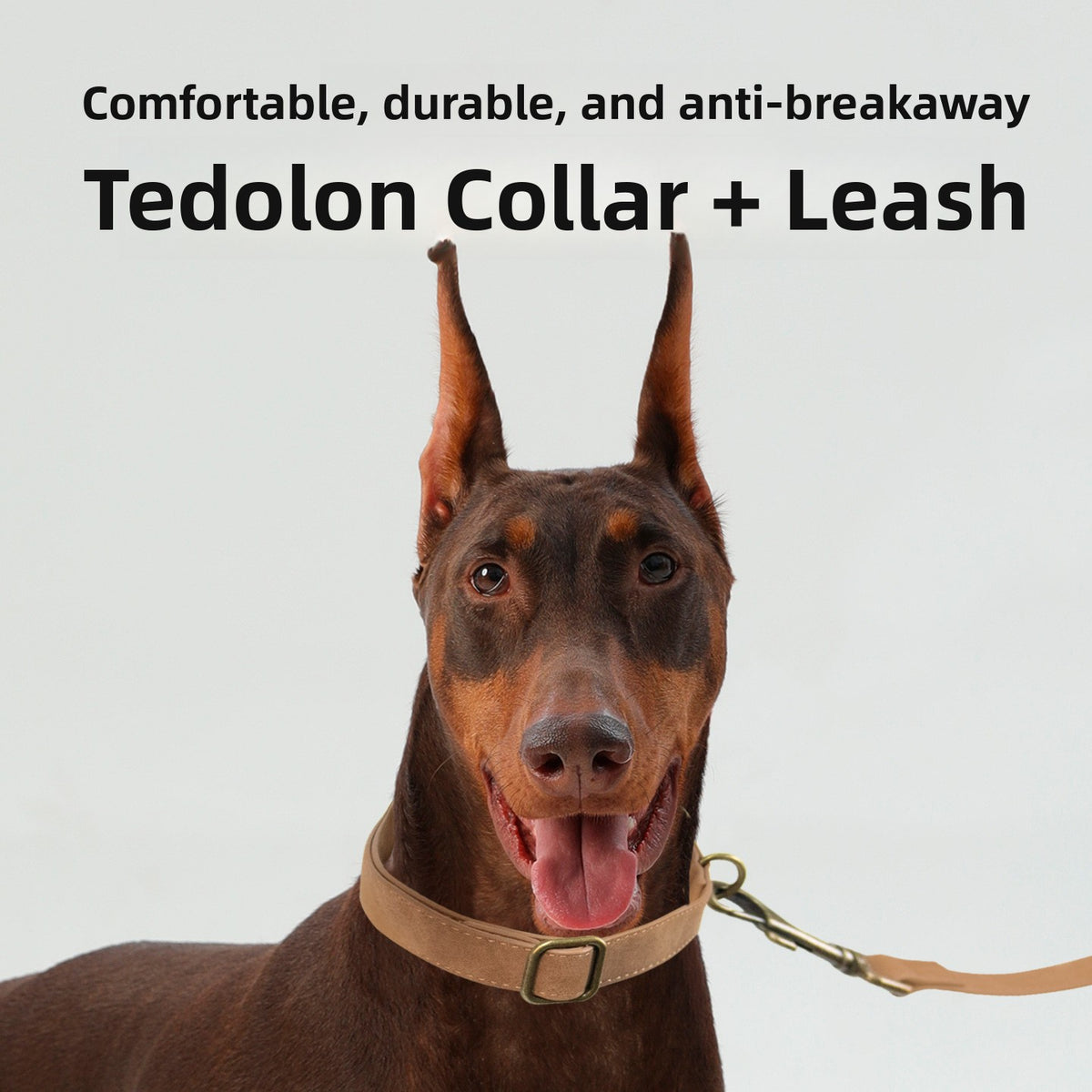 Set Collar y Correa Retro para Perros