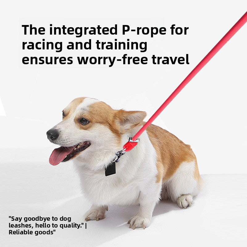 Hands-Free Adjustable Dog Leash