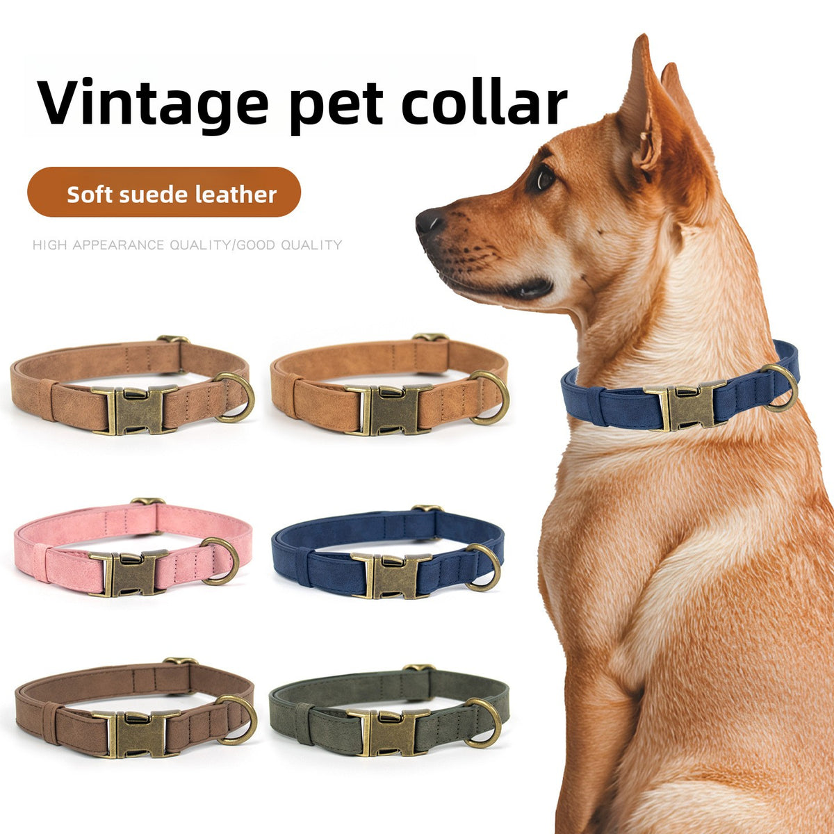 Set Collar y Correa Retro para Perros