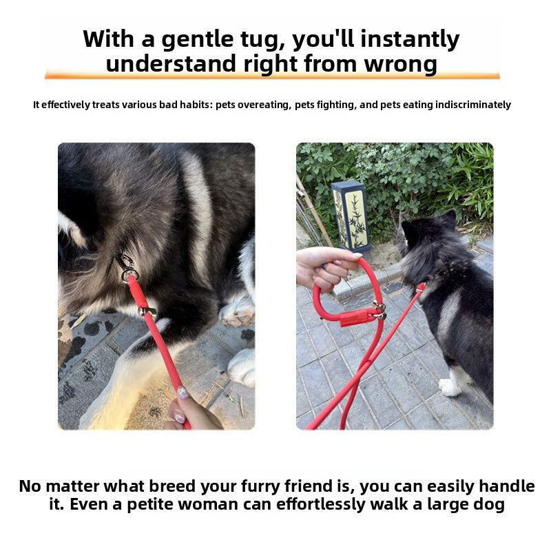 Hands-Free Adjustable Dog Leash