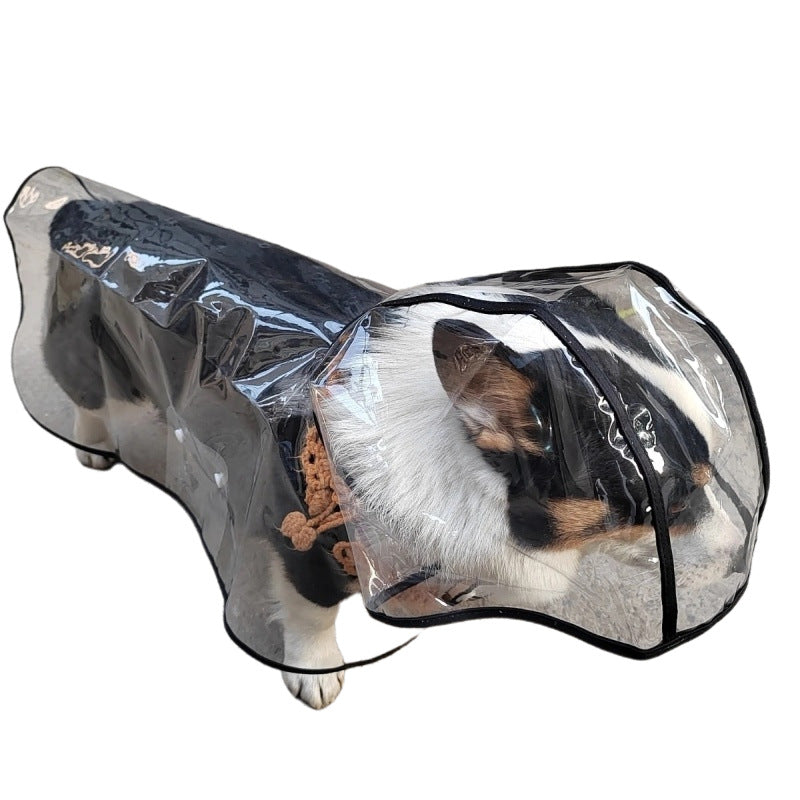 Impermeable Transparente para Perros