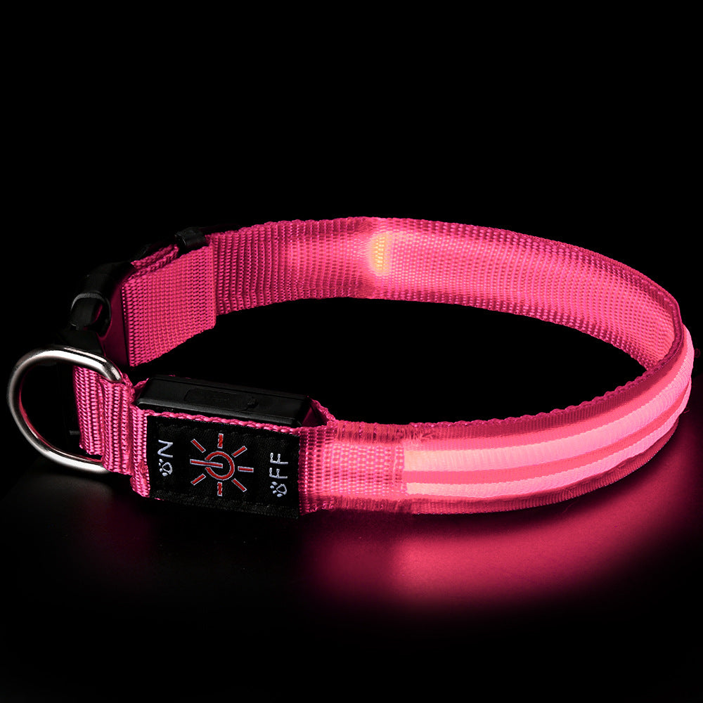 Collar LED Recargable para Perros – Visibilidad Nocturna