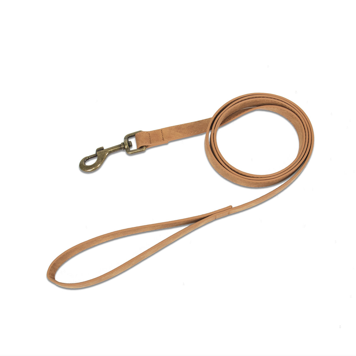 Set Collar y Correa Retro para Perros