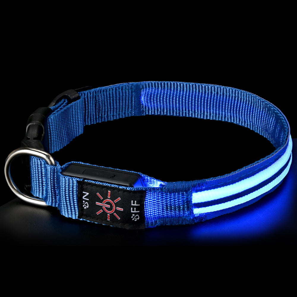 Collar LED Recargable para Perros – Visibilidad Nocturna