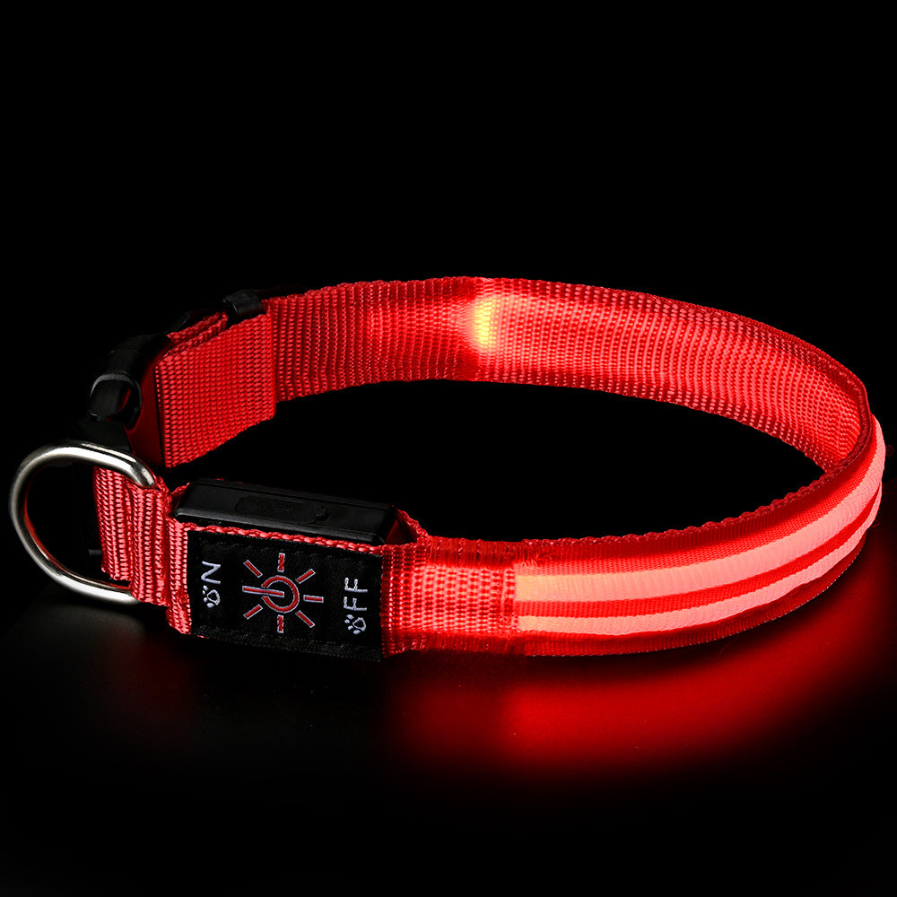 Collar LED Recargable para Perros – Visibilidad Nocturna