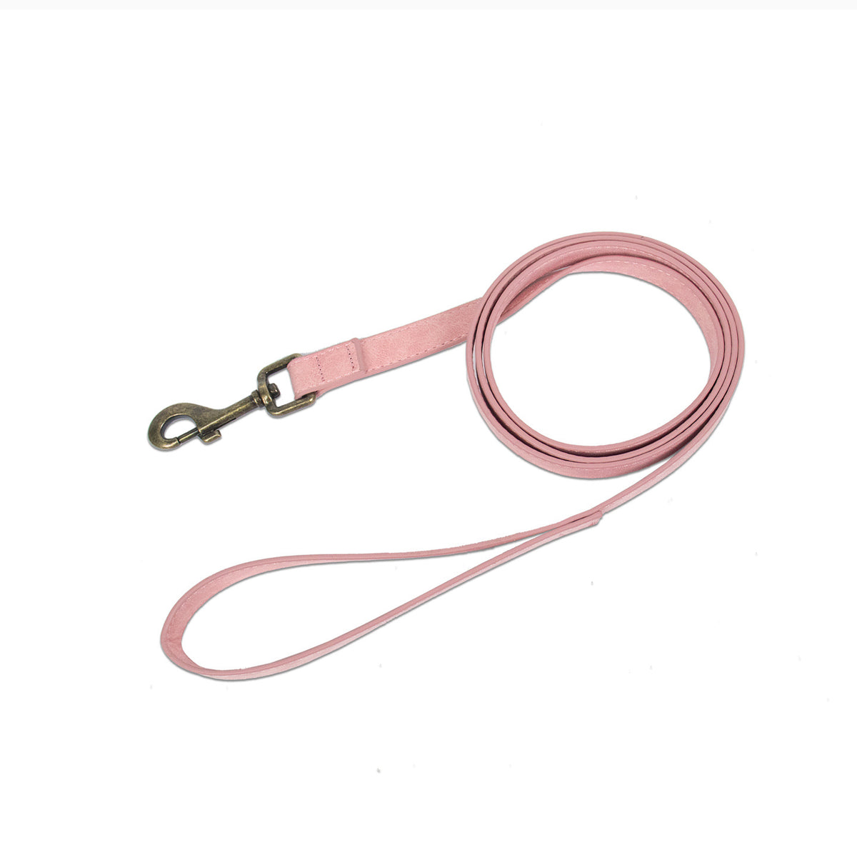 Set Collar y Correa Retro para Perros