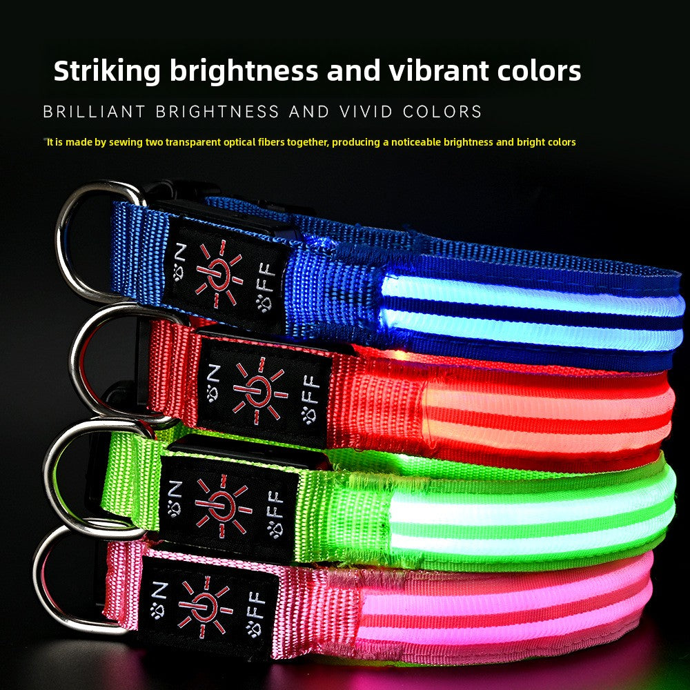 Collar LED Recargable para Perros – Visibilidad Nocturna
