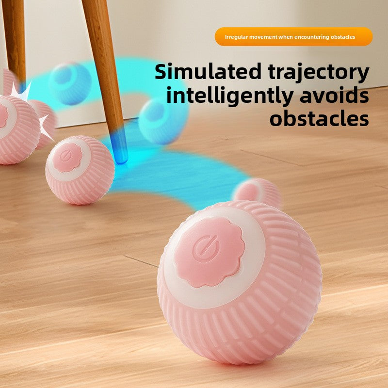 Pelota Interactiva para Mascotas